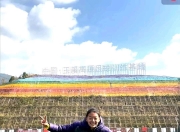 国际足球盛事中女性选手积极备战，努力冲刺胜利的简单介绍